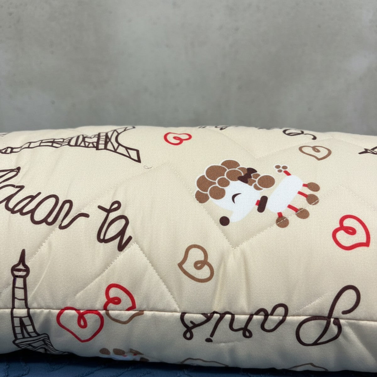 Almohada Sueca Paris Beige